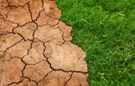 Lidera Nacin Verde soluciones internacionales contra el cambio climtico