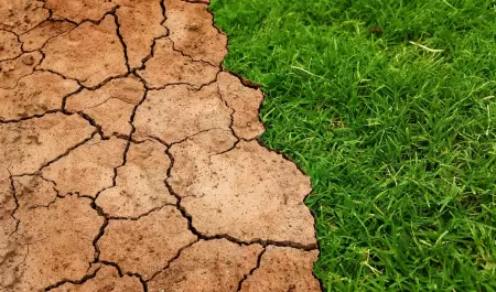 cambio climtico