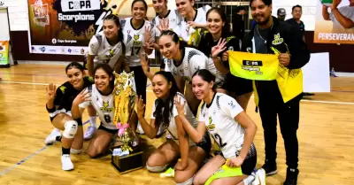 Voleibol femenil