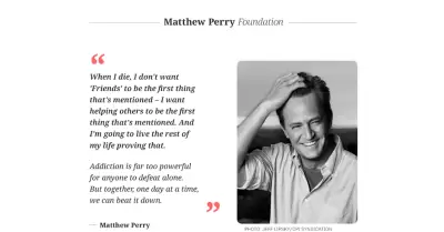 "The Matthew Perry Foundation"