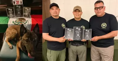 Unidad K9 de Tijuana destaca en competencia internacional