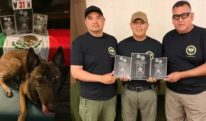 Unidad K9 de Tijuana destaca en competencia internacional