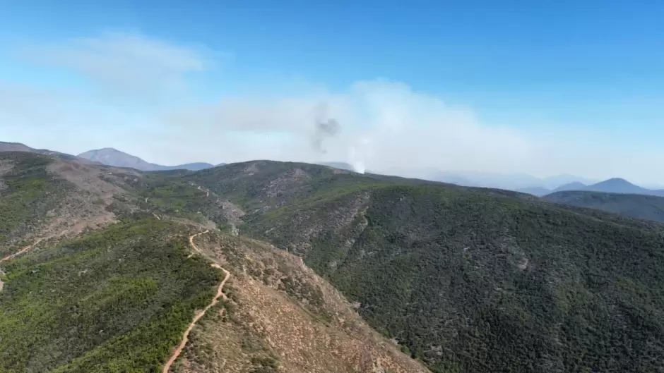 Controlado incendio forestal en el Ppila