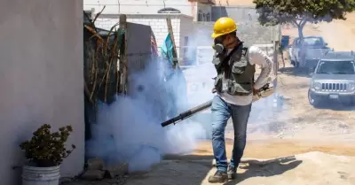 Atiende Secretar�a de Salud casos de dengue aut�ctono en San Felipe