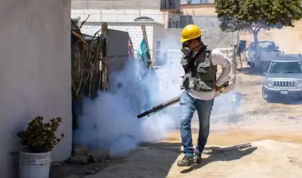 Atiende Secretar�a de Salud casos de dengue aut�ctono en San Felipe
