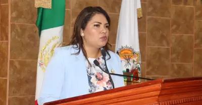 Diputada Montse Murillo