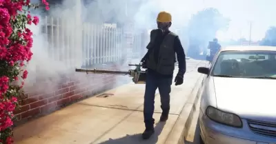 Fumigaci�n contra el dengue
