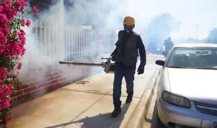 Fumigaci�n contra el dengue