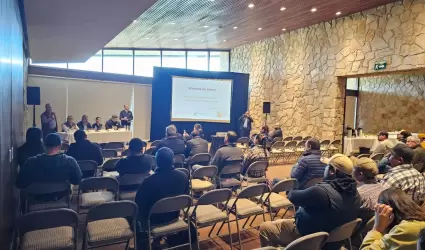 Piojo harinoso y otras enfermedades de la Vid