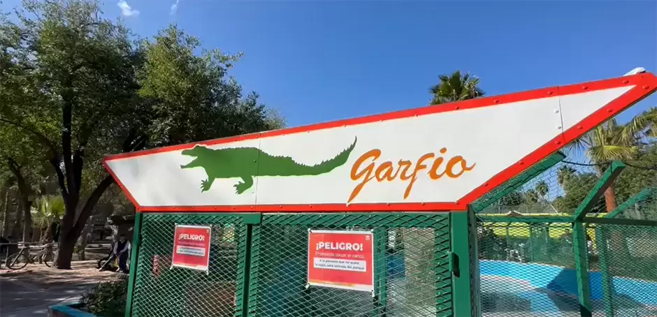 "Garfio", caimán que podría crecer 4 metros y vivir 100 años