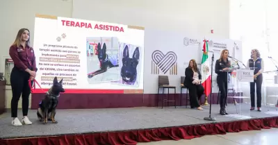 VIDEO: Presentan en BC programa pionero de atenci�n a menores con terapia asisti