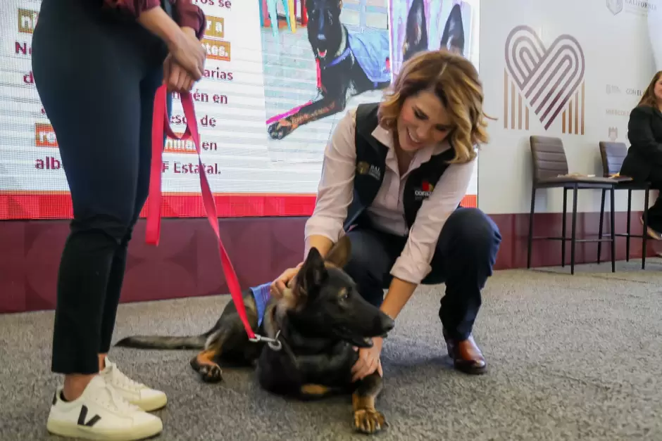 VIDEO: Presentan en BC programa pionero de atención a menores con terapia asistida por perros