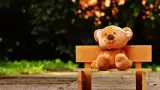 Peluche