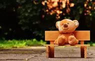 Foundation for the Children of the Californias asumir� programa Care 'N Share Toy Drive de la Feria de San Diego