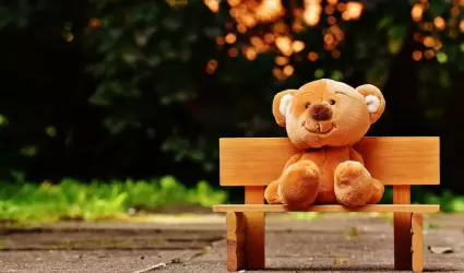 En 2002 se estableci el Da Mundial del Oso de Peluche