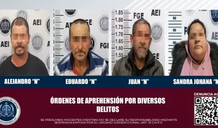 Detenidas por diversos delitos