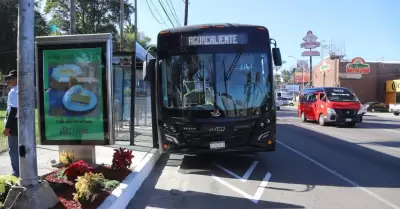 Positivo proyecto estatal de modernizacin del transporte