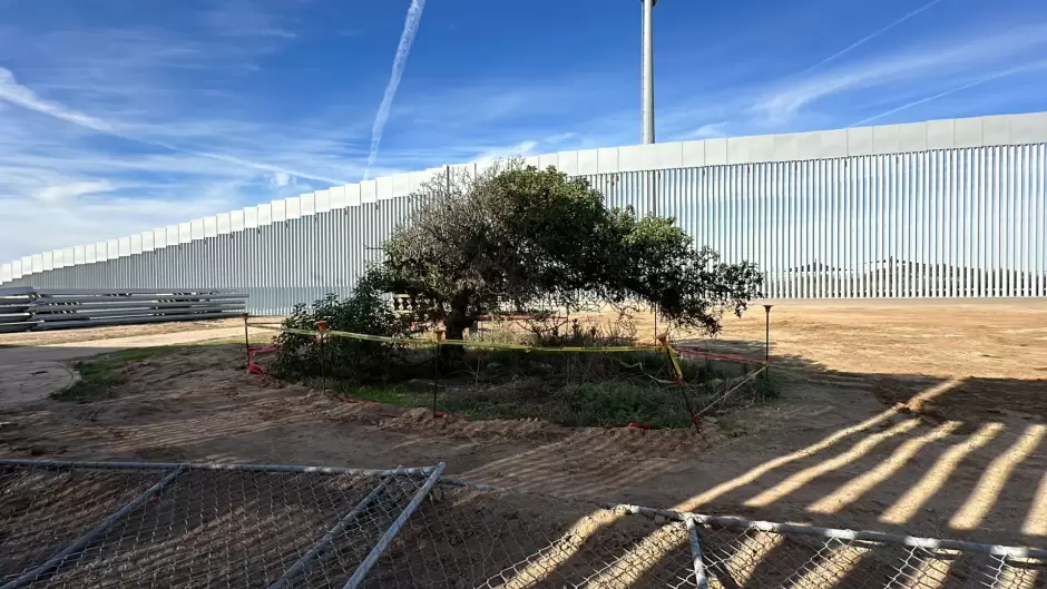 Jardn Binacional de Playas de Tijuana.