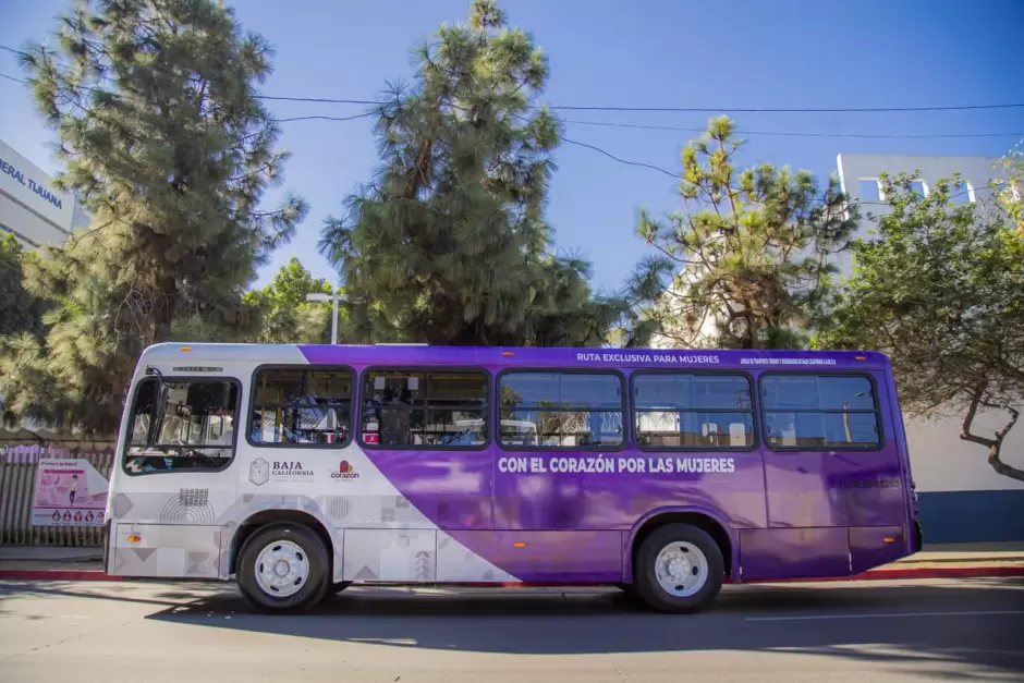 Avanza Transporte Violeta con movilidad gil y segura para las bajacalifornianas