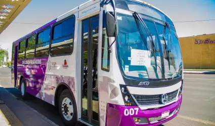 Avanza Transporte Violeta con movilidad gil y segura para las bajacalifornianas