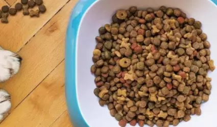 Alimento para perro