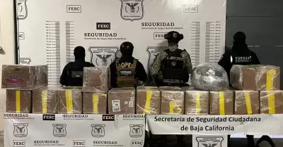 Confiscan FESC y Sedena droga