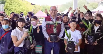 4 mil 800 plantas donadas