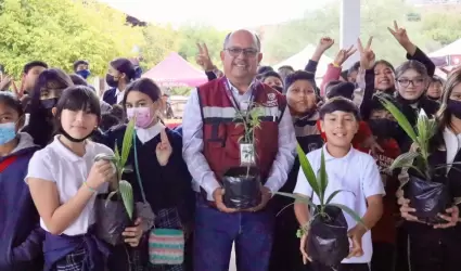 4 mil 800 plantas donadas