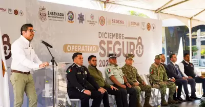 Operativo diciembre seguro