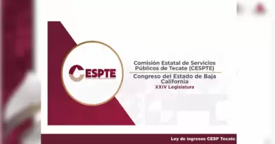 Presupuesto de ingresos 2024