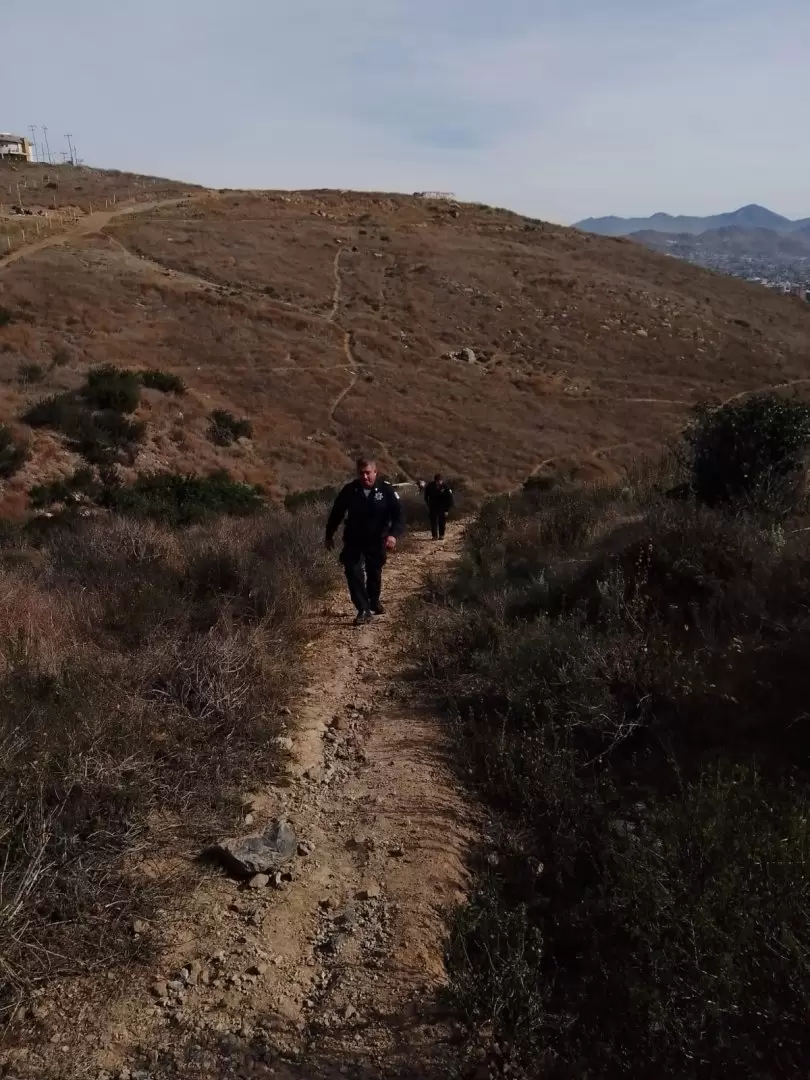 Vigilancia en cerro del Viga por perros ferales