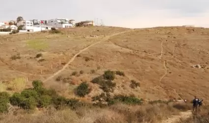 Vigilancia en cerro del Viga por perros ferales