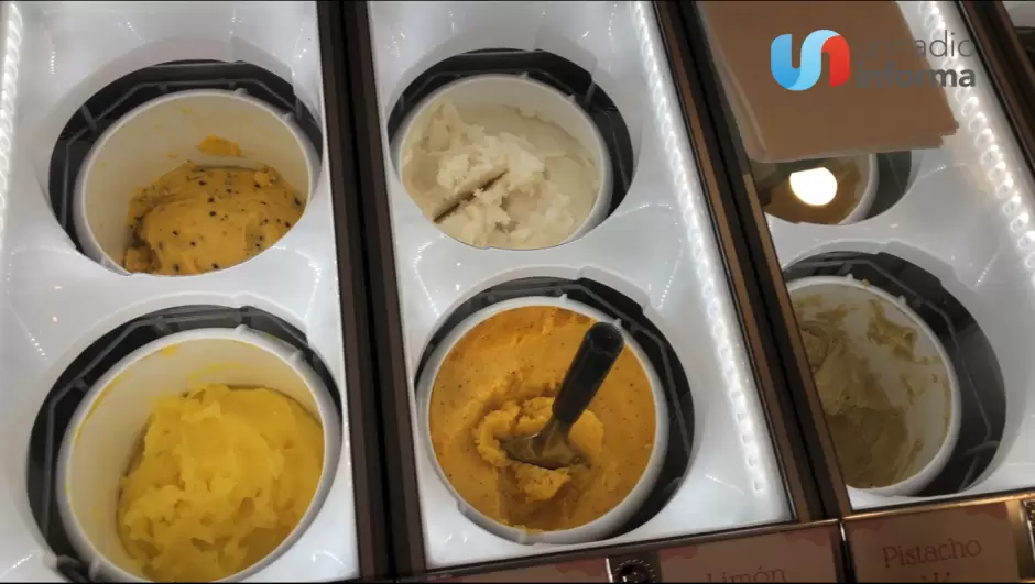 Consienten a mascotas de Tijuana llevandolos a la heladeria