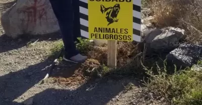 Trampas contra canes ferales en Cerro del Viga