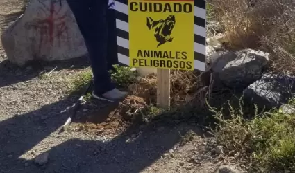 Trampas contra canes ferales en Cerro del Viga