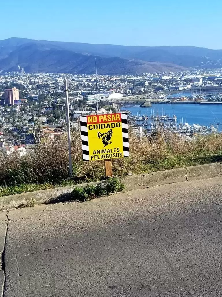 Trampas contra canes ferales en Cerro del Viga