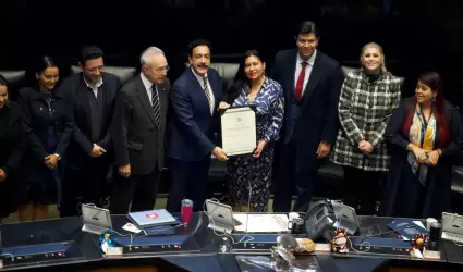 Omar Fayad toma protesta en la Cmara de Senadores como embajador de Mxico en N