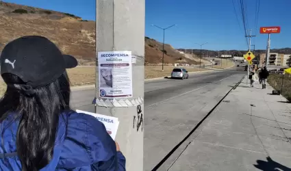 Brigada de bsqueda en el Fraccionamiento Natura