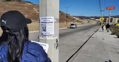 Brigada de bsqueda en el fraccionamiento Natura