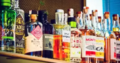 Bebidas alcoh�licas