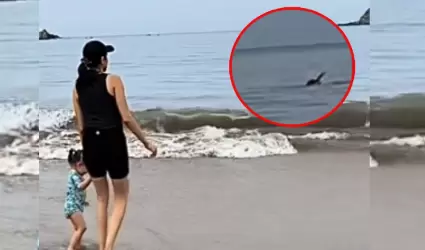 ataque de animal