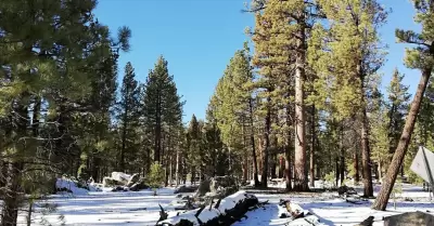 Nevada en las sierras