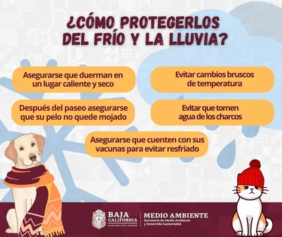 Cuidado de mascotas en temporada invernal