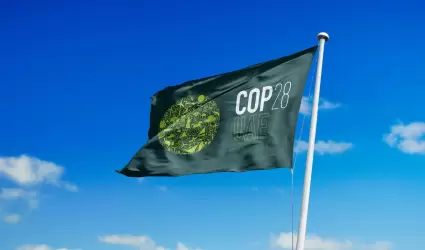 COP28