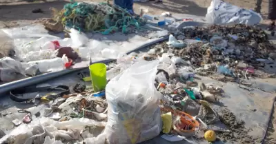 Mujeres por el Mar realiza su segunda limpieza costera y subacu�tica