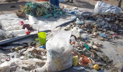 Mujeres por el Mar realiza su segunda limpieza costera y subacu�tica