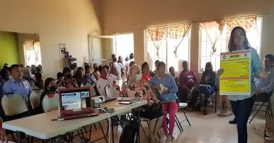 Vigila el Gobierno federalel ingreso de enfermedades exticas a Baja California