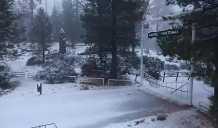 Sierra de San Pedro M�rtir