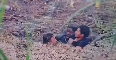 Migrantes
