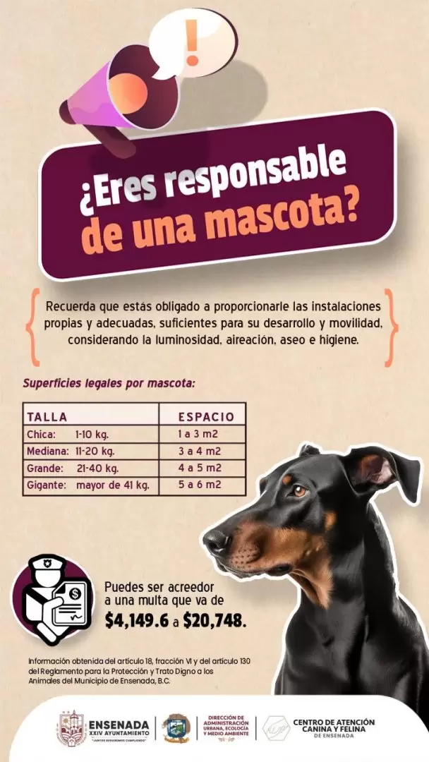 Vigentes sanciones por trato inadecuado a mascotas: